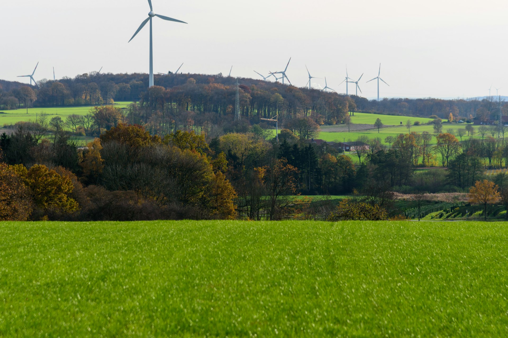 Wind turbines on a rolling green landscape